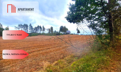 Tylko u Nas Działka budowlana w otoczeniu lasów - Małe Chełmy  -
Pomorskie Zdjęcie nr 6