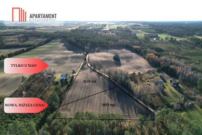 Tylko u Nas Działka budowlana - Małe Chełmy - Małe Chełmy  -
Pomorskie Zdjęcie nr 4