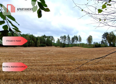 Tylko u Nas Działka budowlana - Małe Chełmy - Małe Chełmy  -
Pomorskie Zdjęcie nr 5