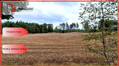 Tylko u Nas Działka budowlana - Małe Chełmy - Małe Chełmy  -
Pomorskie Zdjęcie nr 6