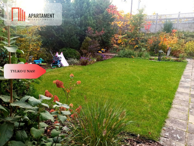 Tylko u Nas Działka rekreacyjna  - Chojnice - Chojnice  -
Pomorskie Zdjęcie nr 4