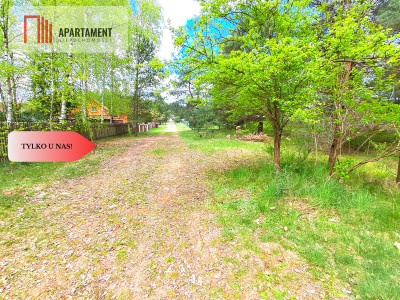 Działka nad jeziorem Z warunkami zabudowy - Trzebciny  -
Kujawsko-Pomorskie Zdjęcie nr 11