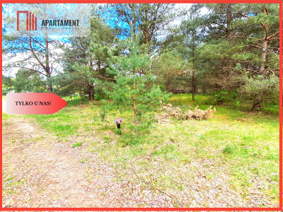 Działka nad jeziorem Z warunkami zabudowy - Trzebciny  -
Kujawsko-Pomorskie Zdjęcie nr 12