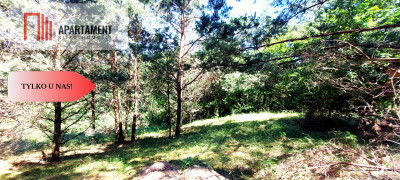 Działka nad jeziorem Z warunkami zabudowy - Trzebciny  -
Kujawsko-Pomorskie Zdjęcie nr 2