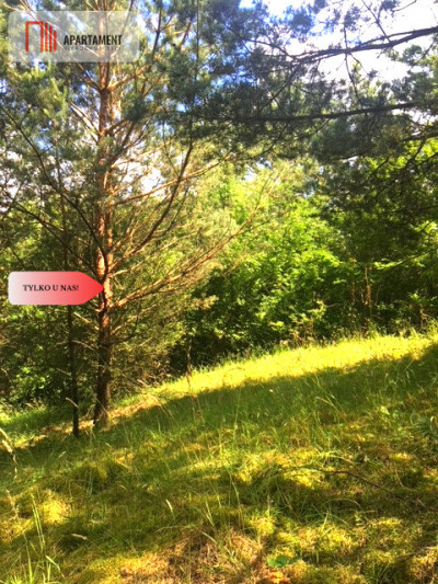 Działka nad jeziorem Z warunkami zabudowy - Trzebciny  -
Kujawsko-Pomorskie Zdjęcie nr 5