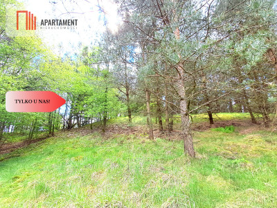 Działka nad jeziorem Z warunkami zabudowy - Trzebciny  -
Kujawsko-Pomorskie Zdjęcie nr 6