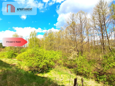 Działka nad jeziorem Z warunkami zabudowy - Trzebciny  -
Kujawsko-Pomorskie Zdjęcie nr 7