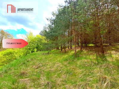 Działka nad jeziorem Z warunkami zabudowy - Trzebciny  -
Kujawsko-Pomorskie Zdjęcie nr 8