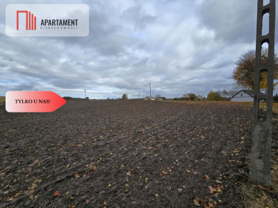 Działka budowlana z Warunkami zabudowy Smarzewo - Smarzewo  -
Pomorskie Zdjęcie nr 11