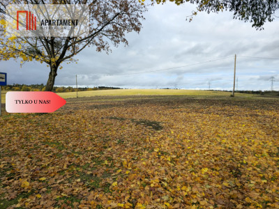 Działka budowlana z Warunkami zabudowy Smarzewo - Smarzewo  -
Pomorskie Zdjęcie nr 5