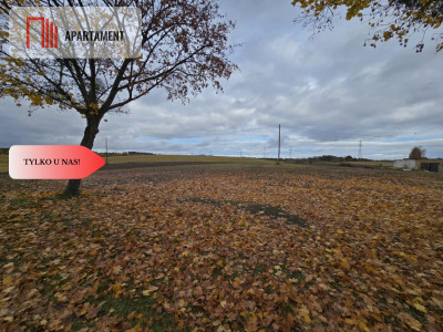 Działka budowlana z Warunkami zabudowy Smarzewo - Smarzewo  -
Pomorskie Zdjęcie nr 6