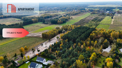 Działka z własnym lasem pod Łodzią - Rydzyny  - Łódzkie