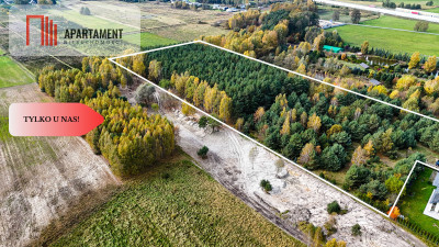 Działka z własnym lasem pod Łodzią - Rydzyny  -
Łódzkie Zdjęcie nr 4