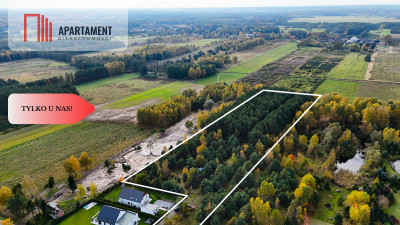 Działka z własnym lasem pod Łodzią - Rydzyny  -
Łódzkie Zdjęcie nr 6