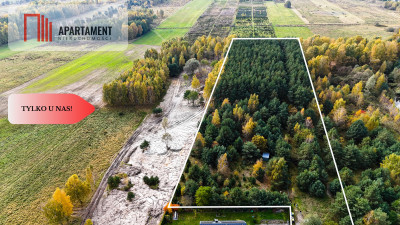 Działka z własnym lasem pod Łodzią - Rydzyny  -
Łódzkie Zdjęcie nr 7