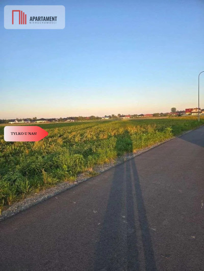 Działka pod inwestycję - Zachowice  -
Dolnośląskie Zdjęcie nr 10