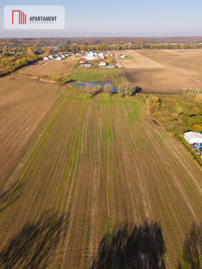 DZIAŁKA INWESTYCYJNA 4 HA  KAMIEŃ DUŻY - Kamień Duży  -
Warmińsko-Mazurskie Zdjęcie nr 7