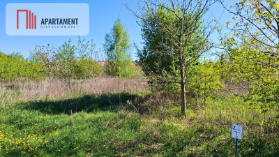 2 działki budowlane w Niwach gm Osielsko - Niwy  -
Kujawsko-Pomorskie Zdjęcie nr 4