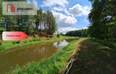 PIĘKNE SIEDLISKO Dom Staw Las DO NEGOCJACJI - Nowy Buczek  -
Wielkopolskie Zdjęcie nr 3