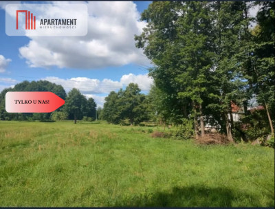 Działka z warunkami zabudowy  Gościm - Gościm  -
Lubuskie Zdjęcie nr 2