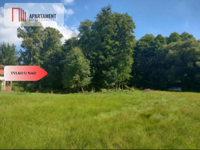 Działka z warunkami zabudowy  Gościm - Gościm  -
Lubuskie Zdjęcie nr 3