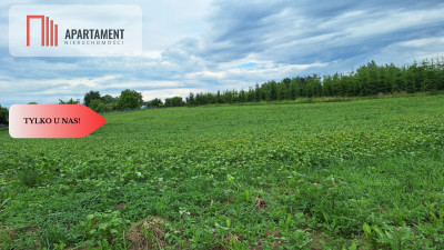 Unikatowa Działka z wydanymi WZ na 3 domy GARCZYN - Garczyn  -
Pomorskie Zdjęcie nr 7