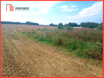 Działka z możliwością zabudowy do 150m blisko las - Malachin  -
Pomorskie Zdjęcie nr 3