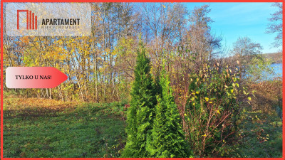 Pięknie położona działka przy jeziorze- Dobiegniew - Dobiegniew  - Lubuskie