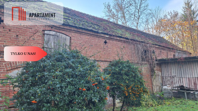 Pięknie położona działka przy jeziorze- Dobiegniew - Dobiegniew  -
Lubuskie Zdjęcie nr 4