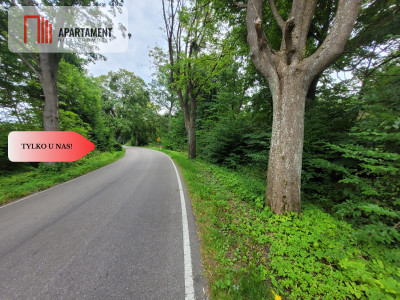 Działka pod zabudowę - Rakowiec  -
Pomorskie Zdjęcie nr 7