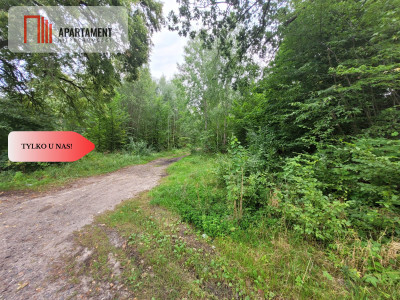 Działka pod zabudowę - Rakowiec  -
Pomorskie Zdjęcie nr 8