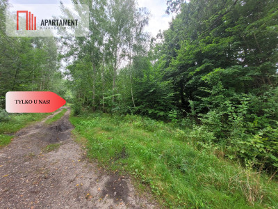 Działka pod zabudowę - Rakowiec  -
Pomorskie Zdjęcie nr 9