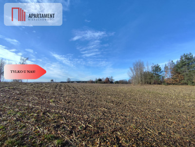 Działka z dużym potencjałem Blisko natury - Dąbrowa  -
Kujawsko-Pomorskie Zdjęcie nr 4