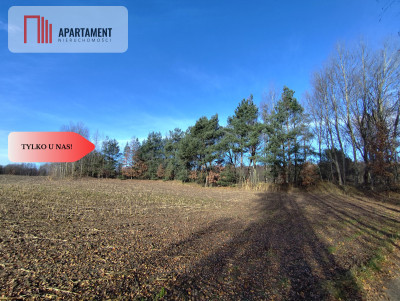 Działka z dużym potencjałem Blisko natury - Dąbrowa  -
Kujawsko-Pomorskie Zdjęcie nr 5