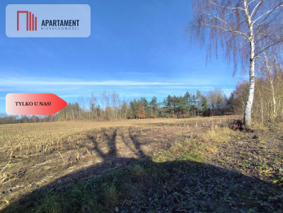 Działka z dużym potencjałem Blisko natury - Dąbrowa  -
Kujawsko-Pomorskie Zdjęcie nr 7