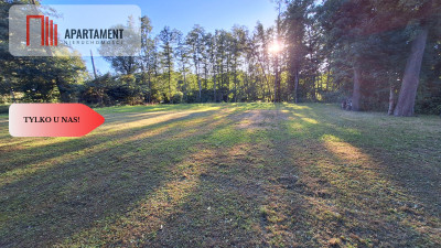 Atrakcyjnie położony teren Piła Koszyce - Piła  -
Wielkopolskie Zdjęcie nr 13