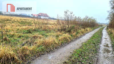 Olimpinduża działka 1217m media w drodze MPZP - Olimpin  -
Kujawsko-Pomorskie Zdjęcie nr 4