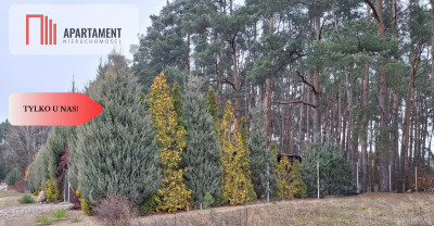 Działka 660 m z domkiem 16 m 500 m od jeziora - Chomiąża Szlachecka  -
Kujawsko-Pomorskie Zdjęcie nr 10