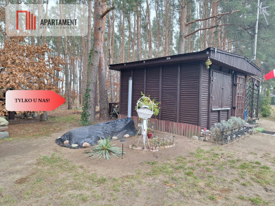 Działka 660 m z domkiem 16 m 500 m od jeziora - Chomiąża Szlachecka  -
Kujawsko-Pomorskie Zdjęcie nr 5