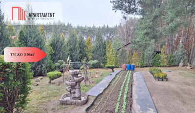 Działka 660 m z domkiem 16 m 500 m od jeziora - Chomiąża Szlachecka  -
Kujawsko-Pomorskie Zdjęcie nr 8