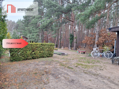 Działka 660 m z domkiem 16 m 500 m od jeziora - Chomiąża Szlachecka  -
Kujawsko-Pomorskie Zdjęcie nr 9