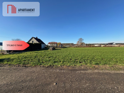 Działki z wydanymi warunkami zabudowy - Osowa Sień  -
Lubuskie Zdjęcie nr 4