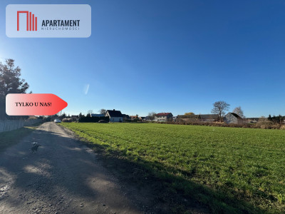 Działki z wydanymi warunkami zabudowy - Osowa Sień  -
Lubuskie Zdjęcie nr 6