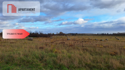 Działka pod zabudowę mieszkaniowo-usługową - Kunice  - Dolnośląskie