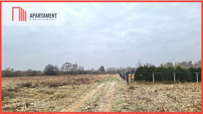 Duza działka pod dom i usługi  Kolankowo - Kolankowo  -
Kujawsko-Pomorskie Zdjęcie nr 2