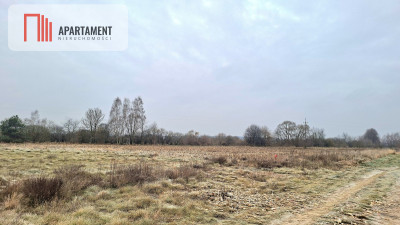 Duza działka pod dom i usługi  Kolankowo - Kolankowo  -
Kujawsko-Pomorskie Zdjęcie nr 3