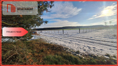 Duży teren w atrakcyjnej lokalizacji - Boruchowo  - Wielkopolskie