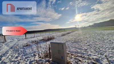 Duży teren w atrakcyjnej lokalizacji - Boruchowo  -
Wielkopolskie Zdjęcie nr 2