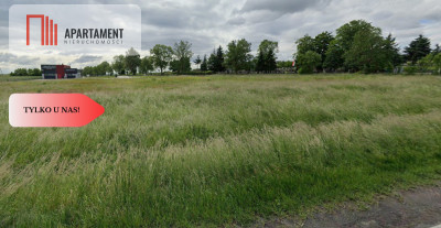 Działka inwestycyjna w dobrej lokalizacji - Wińsko  -
Dolnośląskie Zdjęcie nr 6