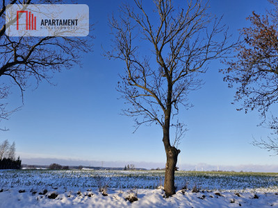 Działki z wydanymi warunkami zabudowy - Radomice  -
Kujawsko-Pomorskie Zdjęcie nr 5
